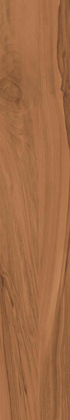 IATB289 - Image 4