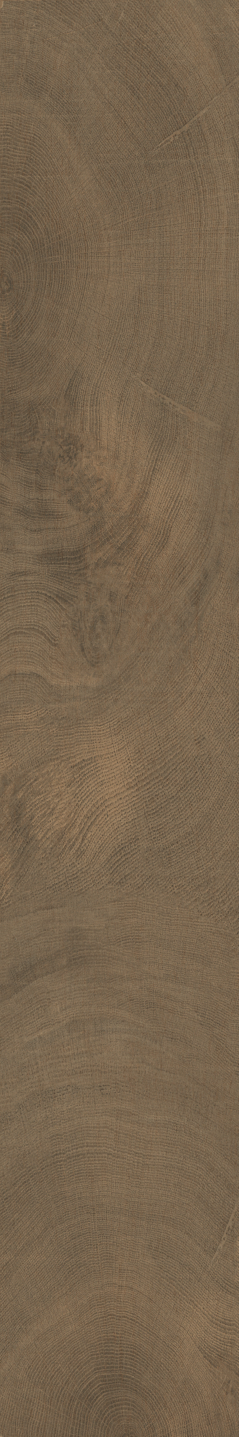 IATB286 - Image 6