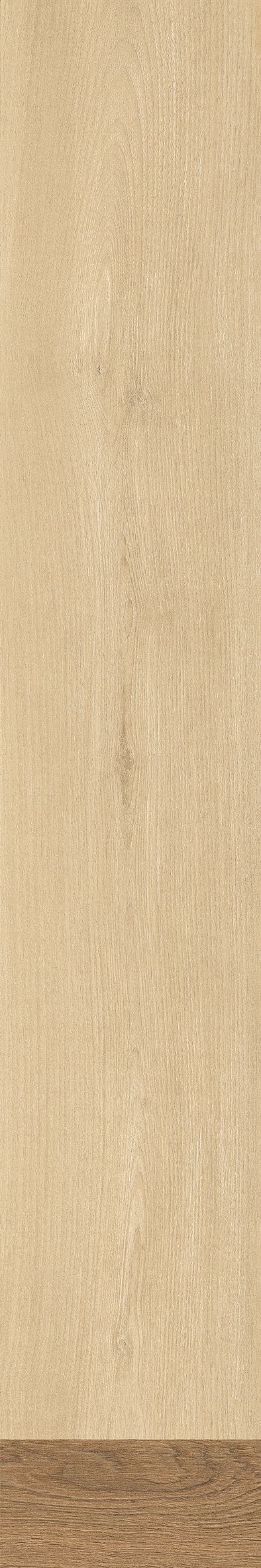 IATB258 - Image 1