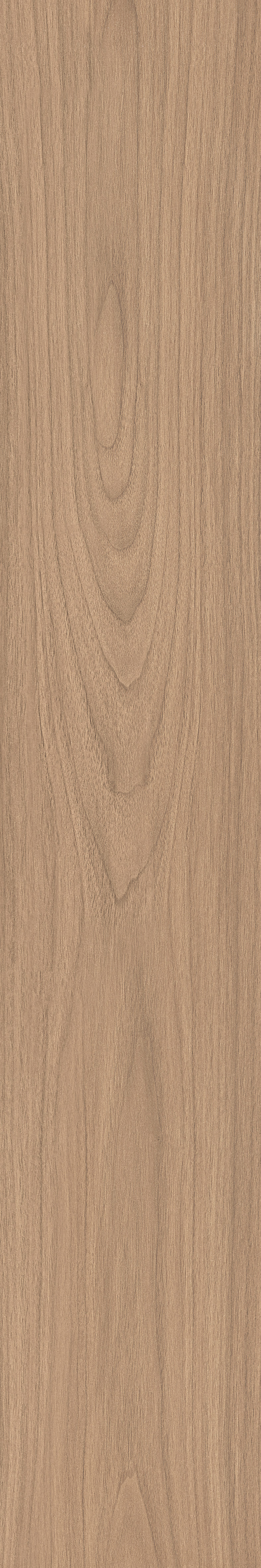 IATB275 - Image 2