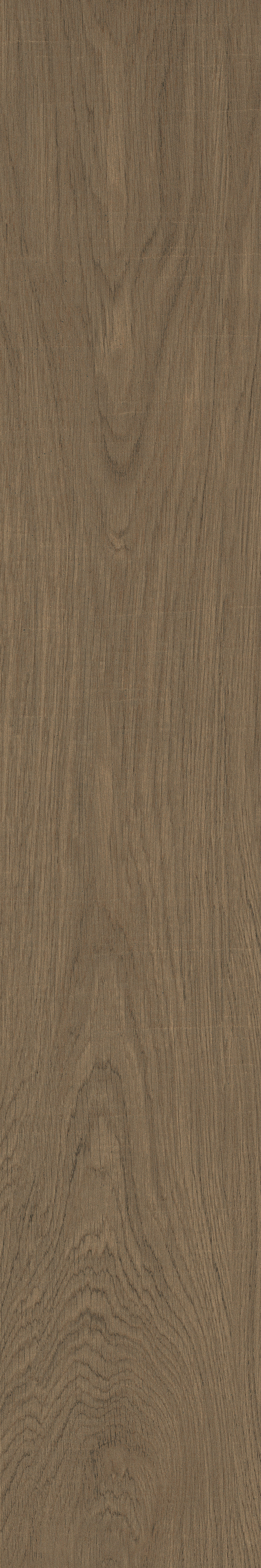 IATB286 - Image 1