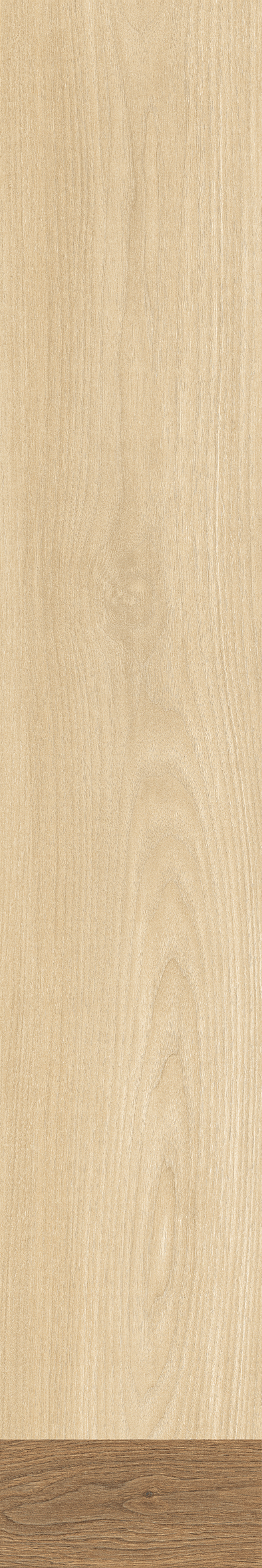 IATB258 - Image 3