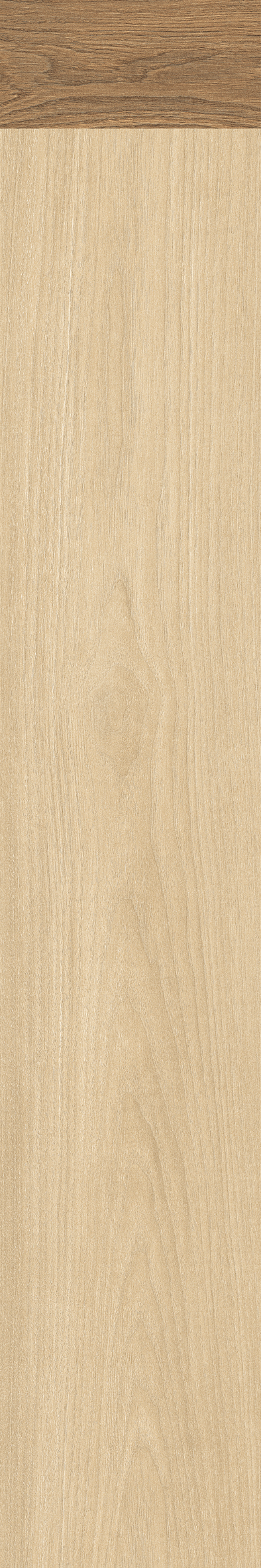 IATB258 - Image 4
