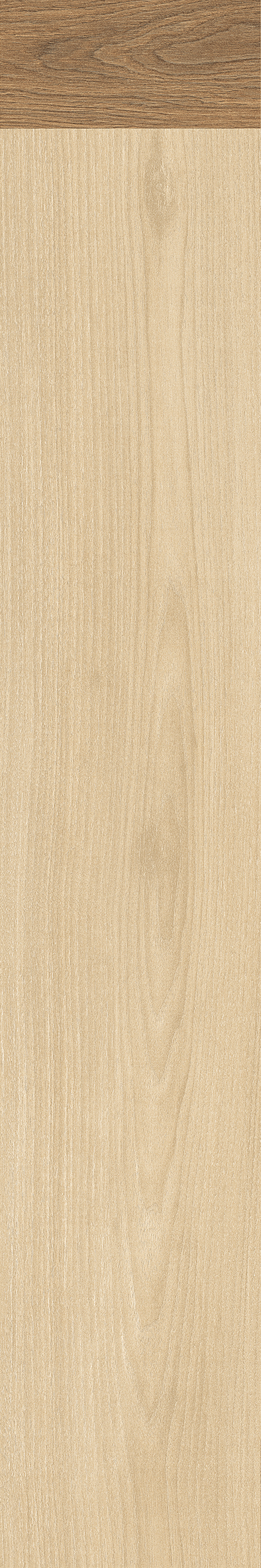 IATB258 - Image 5