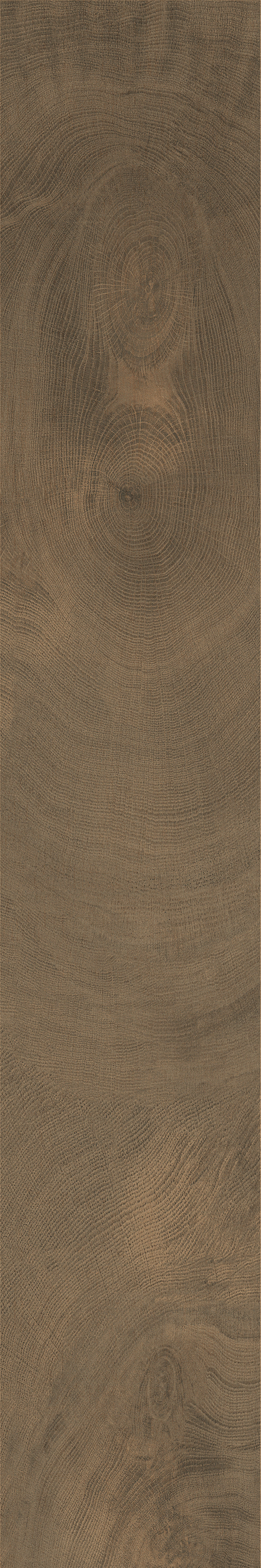 IATB286 - Image 3