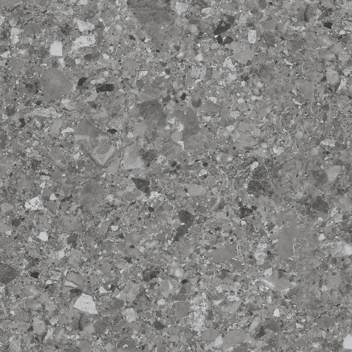 IATB24 - Image 5