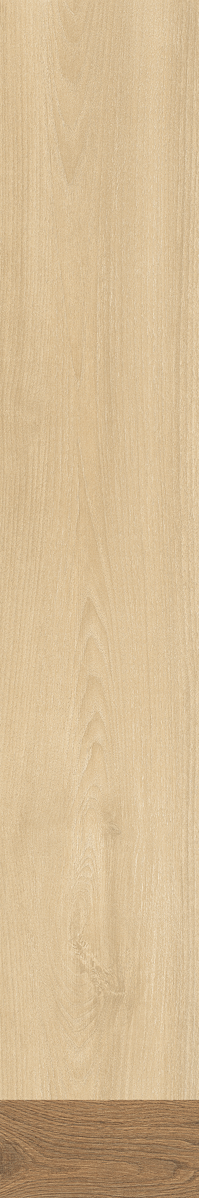 IATB258 - Image 2