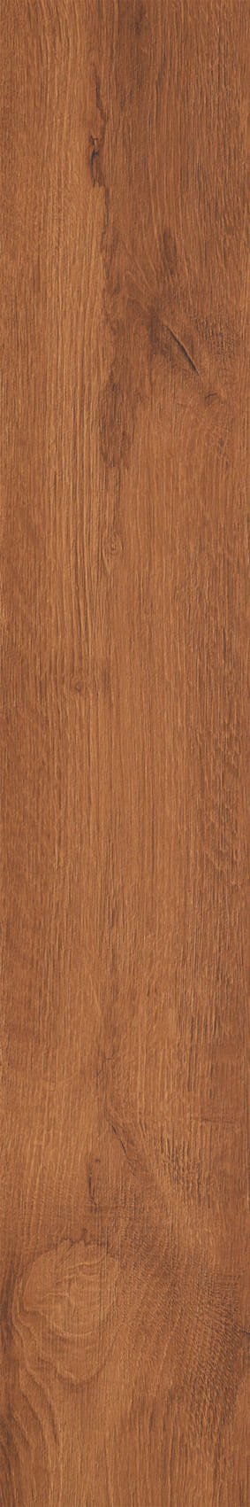 IATB288 - Image 7