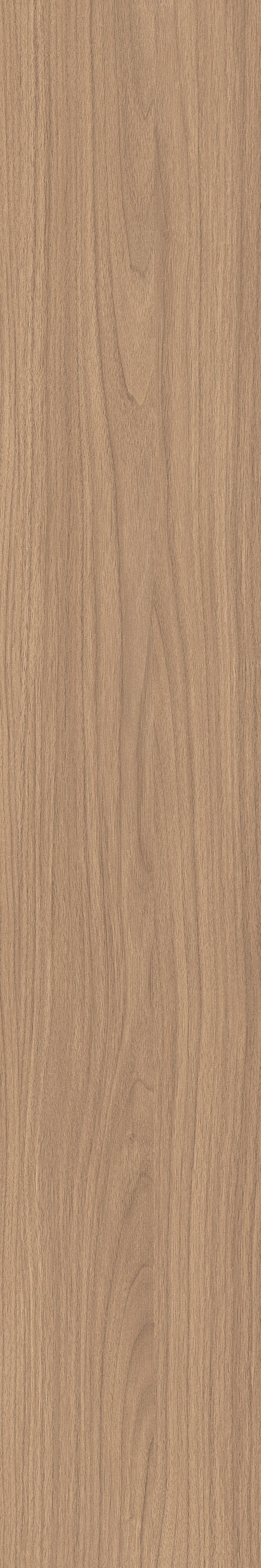 IATB275 - Image 3