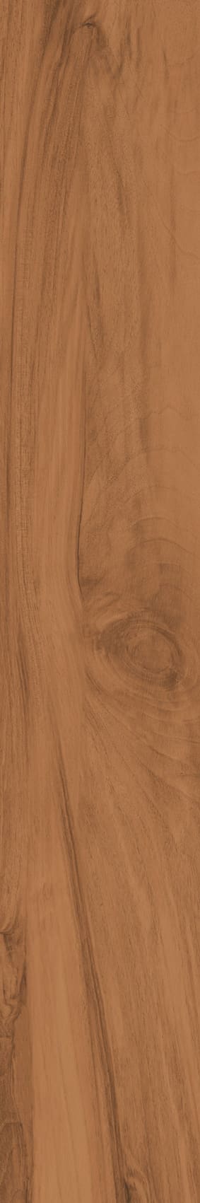 IATB289 - Image 6
